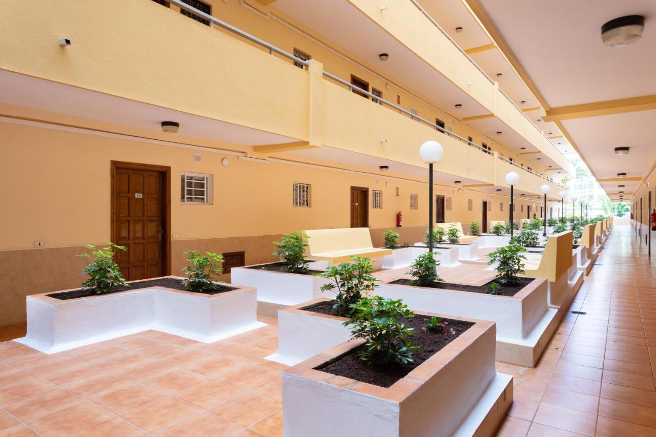 Los Angeles Holiday Home Los Cristianos  Buitenkant foto